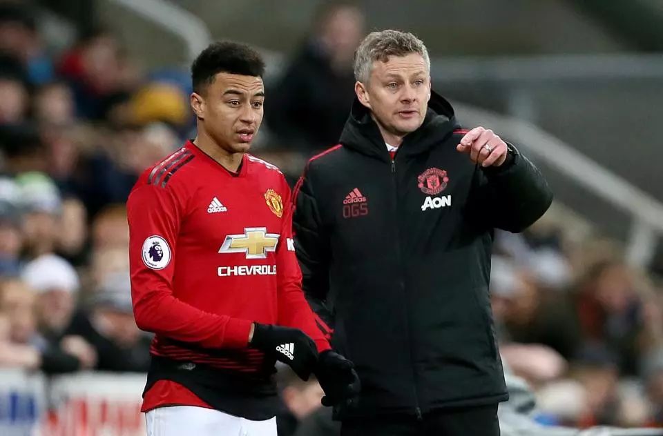 球和灵活的 球和灵活的